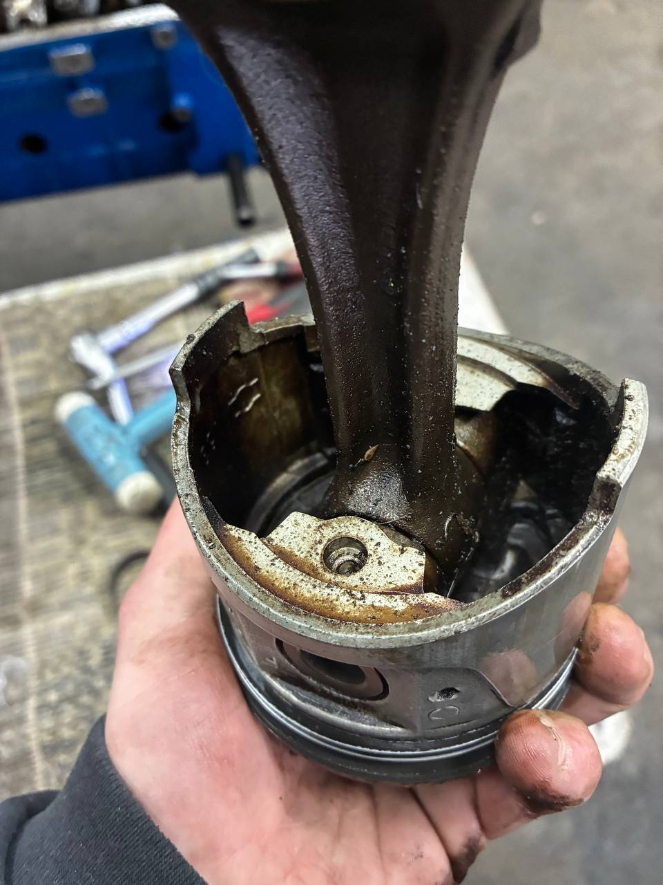 Original Datsun L24 main bearing removed showing wear — engine rebuild