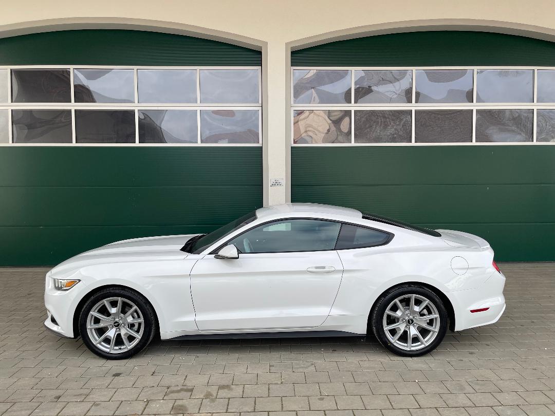 Ford Mustang Coupe zum kaufen