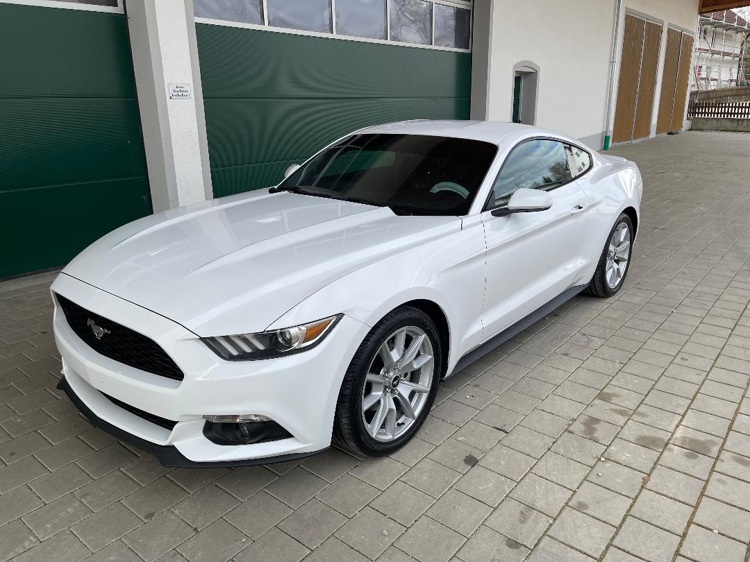 Ford Mustang Europe zu kaufen
