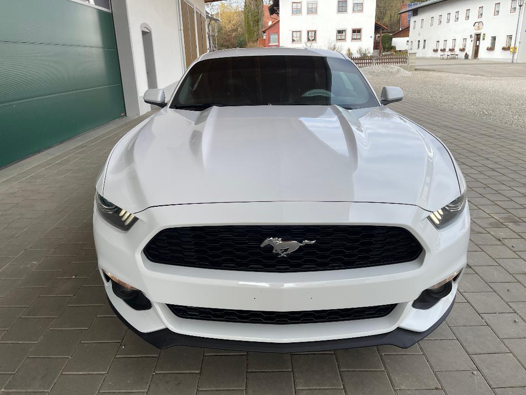 Ford Mustang Coupe Ecoboost mit leder Zu Verkaufen Germany