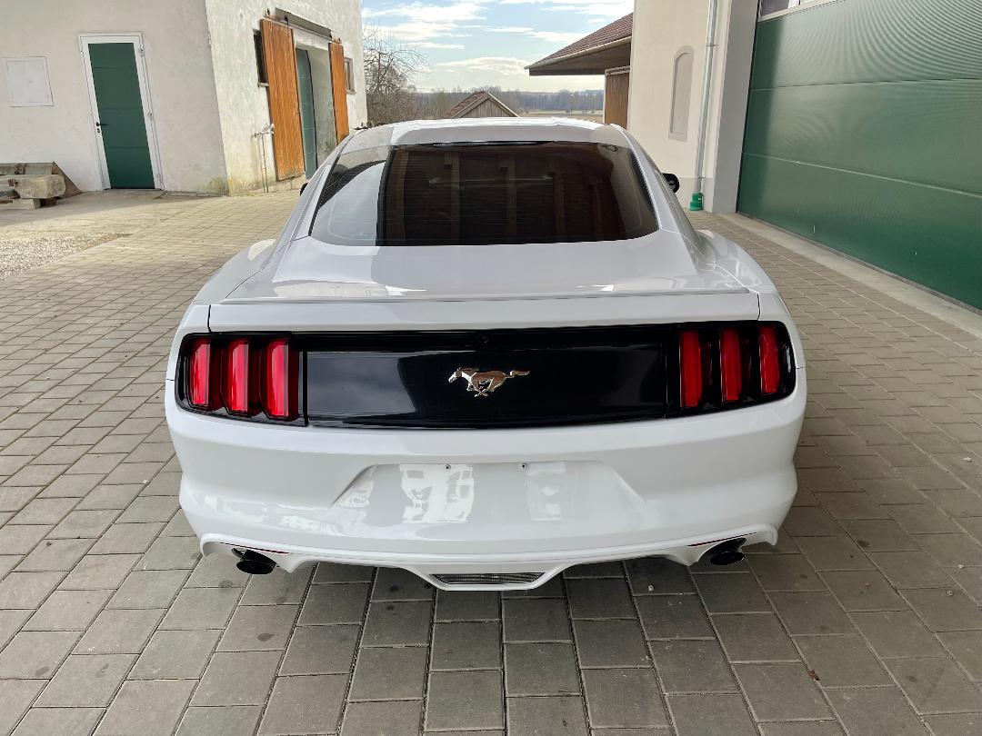 2016 Ford Mustang Coupe Ecoboost zu verkaufen