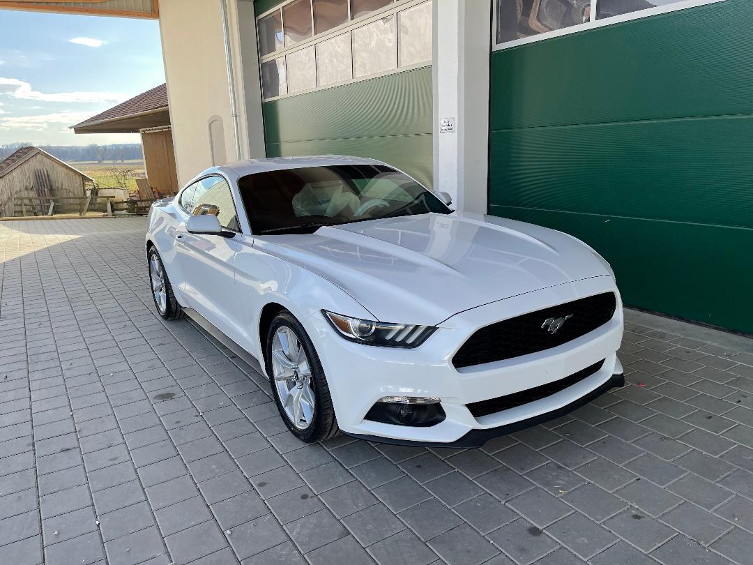 2016 Ford Mustang Coupe Ecoboost zu verkaufen