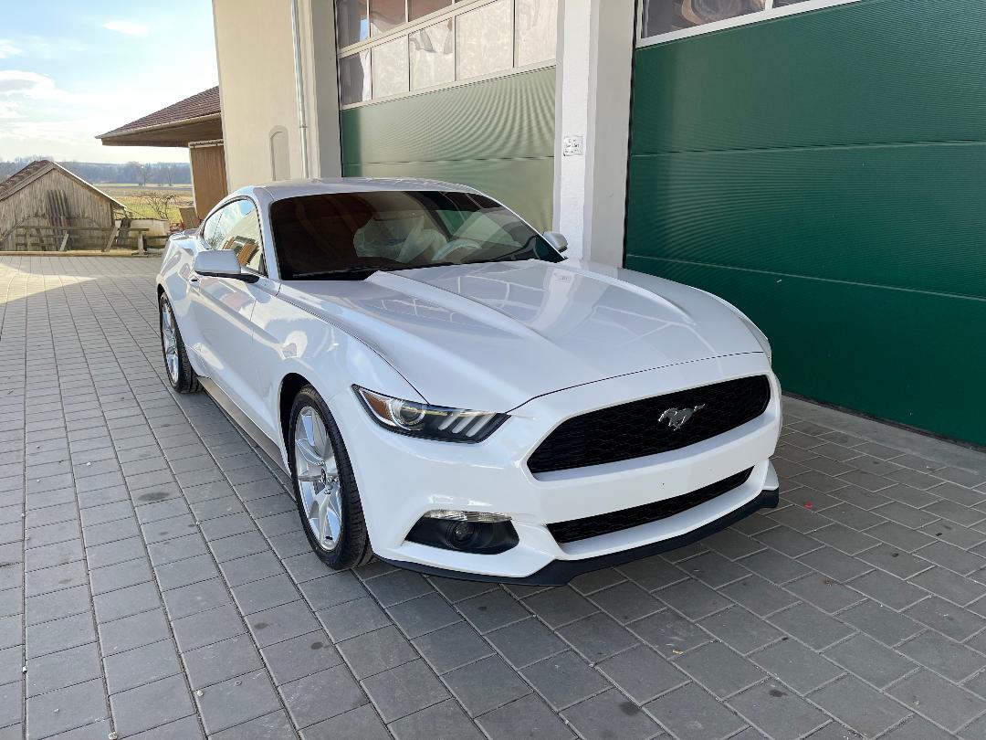 2016 Ford Mustang Coupe Ecoboost zu verkaufen