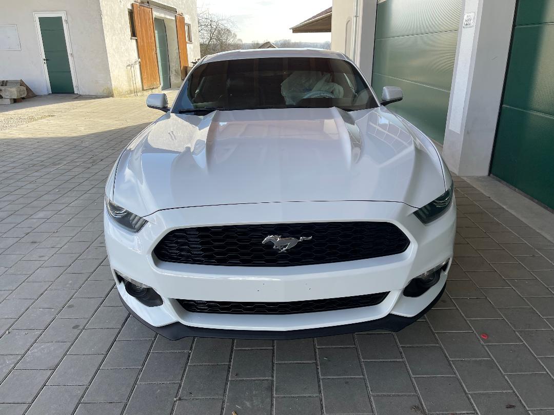 2016 Ford Mustang Coupe zu verkaufen