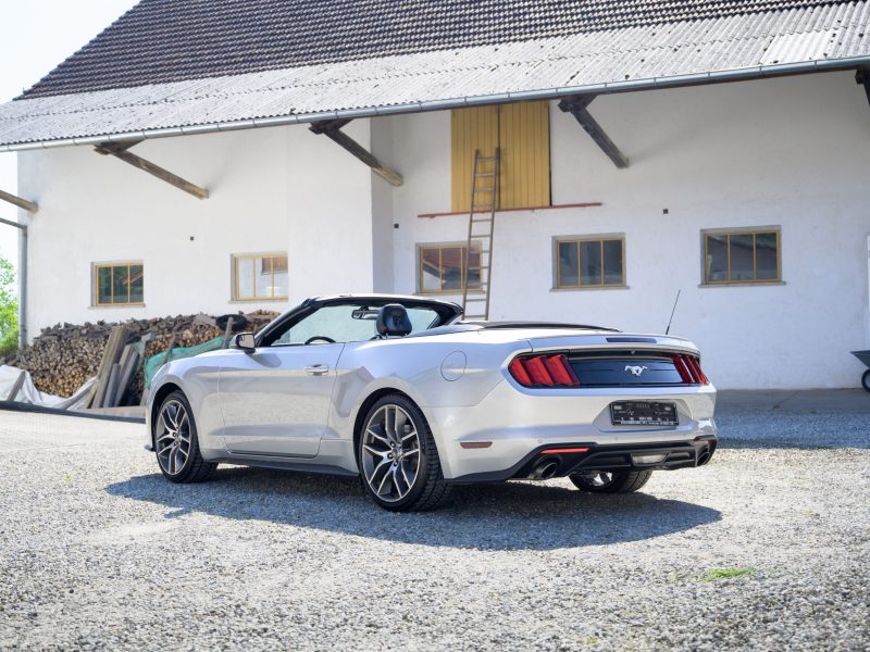 2019 Mustang Cabriolet zu verkaufen Germany 2019 Mustang Cabriolet zu verkaufen Germany