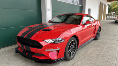 Hohlraumkonservierung und Unterbodenschutz für Ford  Mustang
