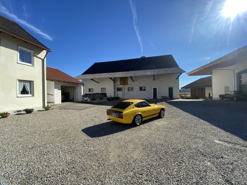 Yellow Datsun Nissan 240z 260z for sale