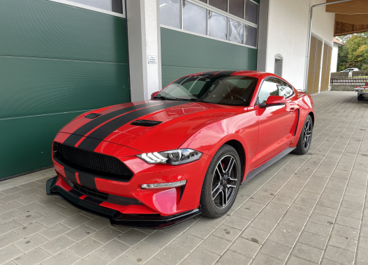 Hohlraumkonservierung und Unterbodenschutz für Ford Mustang