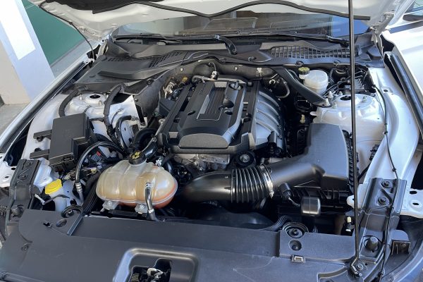 Ford Mustang gebrauchwagen zu verkaufen11 2015 Ford Mustang Ecoboost Premium Coupe zu verkaufen