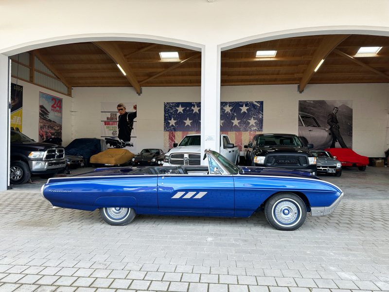 T13 T13