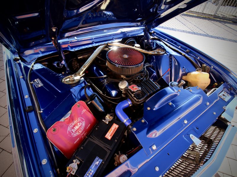 T23 T23